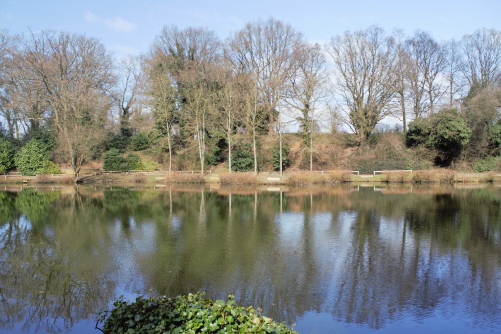 Braybrooke Community Nature and Fishing Club Castbooker