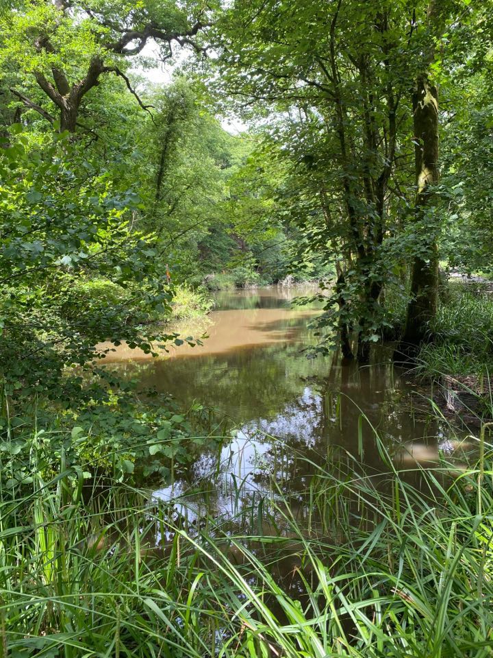 Clyne Pond Castbooker